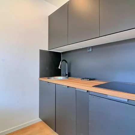 Acces Direct Promenade Des - Negresco 公寓