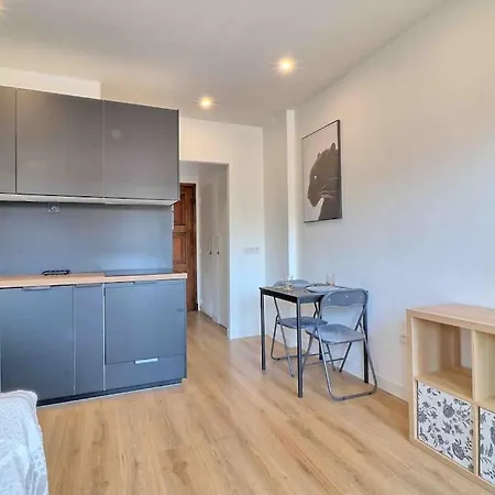 Acces Direct Promenade Des - Negresco Appartement Nice